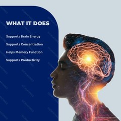 MemoryOn Capsules – Memory On Brain Focus Support Supplement 60ct
