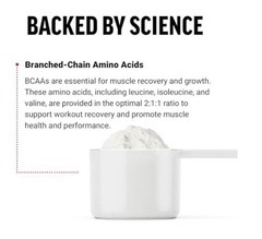 Force Factor BCAA Powder Cherry Lemonade 30 Servings 5g Dose Made in USA