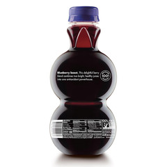 Antioxidant Superpower Pomegranate Blueberry 100% Juice 16 Fl Oz (Pack of 6)