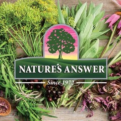 Nature’s Answer Turmeric and Ginger Capsules 90 Count | Joint Support |