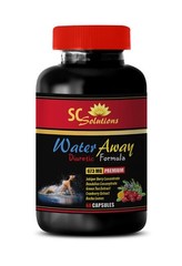 Antioxidant formula – WATER AWAY PILLS 1B – green tea loose leaf