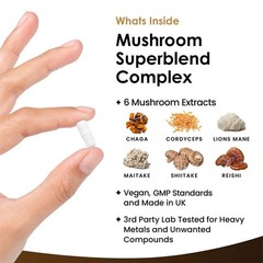 Mushroom Super Blend Complex 240pcs,Replenishes Energy & Stamina,Work Efficiency