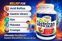 GASTRIZAN SUPPORT HEALTHY DIGESTIVE TRACT ACID REFLUX, HEARTBURN, GASTRIC ULCERS