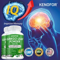Ginkgo Biloba Extract Capsules – Improves Memory Performance & Learning ability