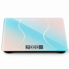 Portable Digital Scale with kg lb Unit Switch & Overload Low Battery Indication