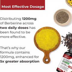 Berberine Hydrochloride Capsules – Immune System Health and Blood Sugar Balance