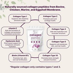 3 Hydrolyzed Multi Collagen Peptides Powder 1 lb PACK Protein Peptide