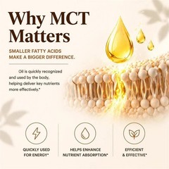 Metabolae Ceylon Cinnamon Extract Capsules with MCT Oil, 300 Softgels