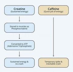 Brain MD Smart Creatine+ Supplement 309 G 10.89oz