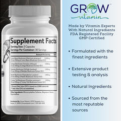 Organic Lion’s Mane Mushroom Supplement (13000 mg) – MEMORY, FOCUS, STRESS AID