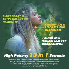 Mullein Leaf Extract 14000mg Lung Cleanse Respiratory Herbal Liquid Drops 60ML