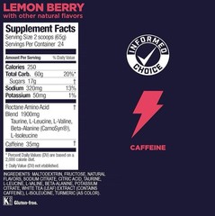 GU Roctane Energy Drink – 24 Serving Canister Lemon Berry, One Size