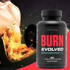 Quality 3 PACK Sculptnation Fat Burn Evolved Thermogenic Burner Weight Loss HOT