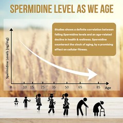 Fermented Wheat Germ Extract 1300mg – for Anti-Aging, Antioxidant, Cell Renewal