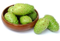 Morinda Citrifolia Tree – NONI EXTRACT 500mg – Antispasmodic Effect – 3 Bottles