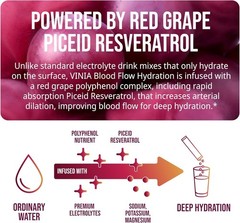 VINIA Resveratrol Electrolyte Hydration Powder Mix Mixed Berry Blood Flow