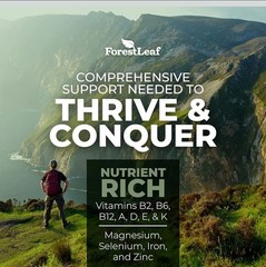 ForestLeaf Beef Organ Supplement – Grass Fed & Pasture Raised – Total Body 180ct