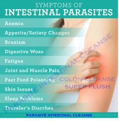 Parasite Intestinal Cleanse(Colon Cleanse Super Flush)Detox Candida Organic Herb
