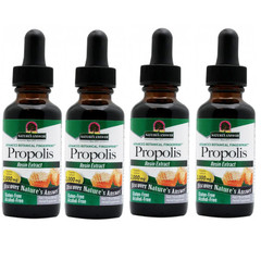 Nature’s Answer Propolis (Alcohol Free) 1 fl.oz Each (Pack of 4)