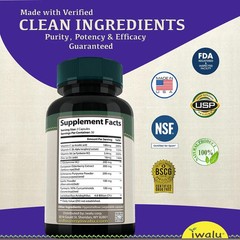 Improve Immune System Supplements | Best Supplement Capsules FREE SHIP
