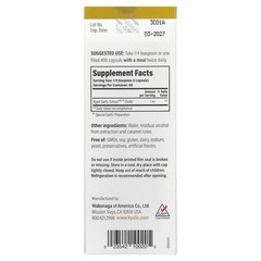 Aged Garlic Extract, Liquid, 2 fl oz (60 ml)