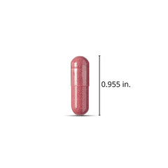 Member’s Mark Clinical Strength Cranberry Capsules 500 mg 150 Count 04/2028EXP