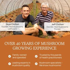 Real Mushrooms Cordyceps Capsules – Performance Mushroom Extract Supplement w…