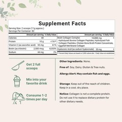 Micro Ingredients Hydrolyzed Multi Collagen (I,II,III,V,X) , Unflavored