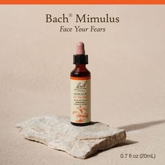 Bach Face Your Fears Homeopathic Remedy 0.7 Fl Oz Courage Against Fear