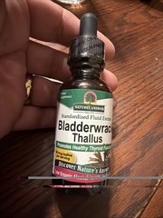 Bladderwrack Thallus Organic Low Alcohol 1 Fluid Ounce | Natural Immune 11/26