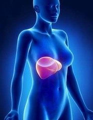 immune support daily vitamin – LIVER COMPLEX 1200MG – milk thistle – 2B
