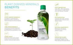 Youngevity Dr. Wallach Plant Derived Minerals – 6-Pack FREE SHIPPING