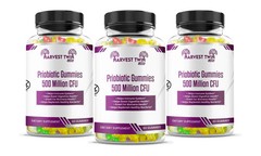 Probiotic Gummies — Digestive & Immune Support, 500 Million CFU, 60 Ct