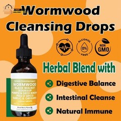 Prozen Gut Wormwood Cleanser Solution 60ml Energy Health Support Drops For Adult