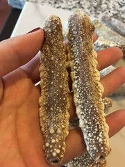 淡干野生白玉参 1 磅 小号,每磅55-60头Naturally Dried White Sea Cucumber 1 lb (Small 55-60/Lbs