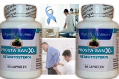120 Prostate Support shrink prostate capsules prostasan herbal prostatit
