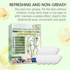 Slimming Patches suitable for Weight Loss 10-in-1 Nano Microneedle Plaster Patch