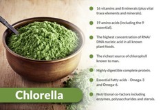 Organic Chlorella Tablets Broken Cell 3000mg Per Serving, 250 Tablets Each