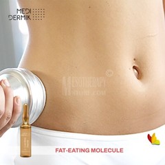 L – Carnitine 50ml By Medidermik