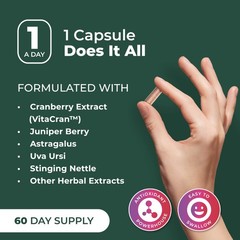 PurePremium Kidney Support Supplement – Cleanse 60 Count (Pack of 1)