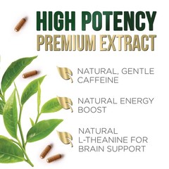 Green Tea Extract Capsules – 3X Strength 240 Count (Pack of 1)