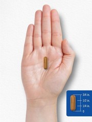 Carlyle Vitamin B-2 400mg 180 Count Non-GMO Gluten Free Supplement B2 Riboflavin