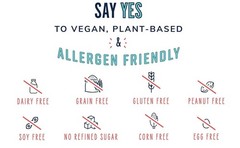 The YES Bar – Dark Chocolate Chip – Plant Based Protein, 24 Count (Pack of 1)