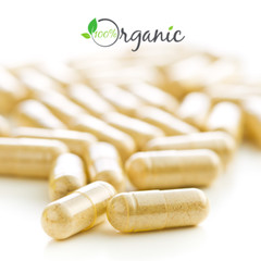 Echinacea Capsules 500mg | 60 CT | Organic Vegan Herbal Supplement | Immune Aid