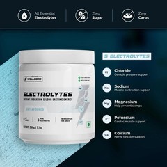 Wellcore Electrolytes Powder 200gm Each Pack Of 2 J940