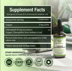 Benevolent Chlorophyll Liquid Drops 4 Month Supply Liquid Chlorophyll Supplement