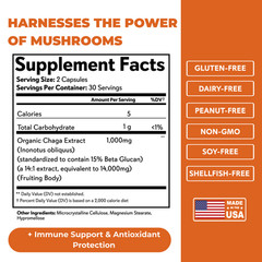 Sambucus Black Elderberry Gummies [3 in 1 Immune Booster] Plus Zinc & Vitamin C