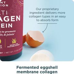 Ancient Nutrition Multi Collagen Protein Powder – Unflavored-20 Servings:7.1 oz