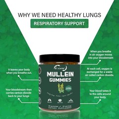 9 in 1 Mullein Leaf Extract Gummies for Lung Cleanse Extra Strength 10000 MG USA