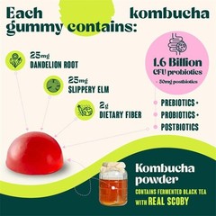 Fiber Supplement, Probiotics, Postbiotics, Probiotic Kombucha Gummy – Prebiotics